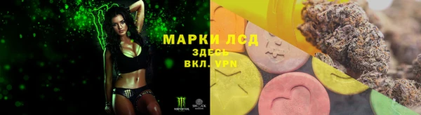 гидропоника Сафоново