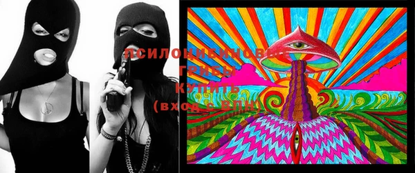 винт Семилуки